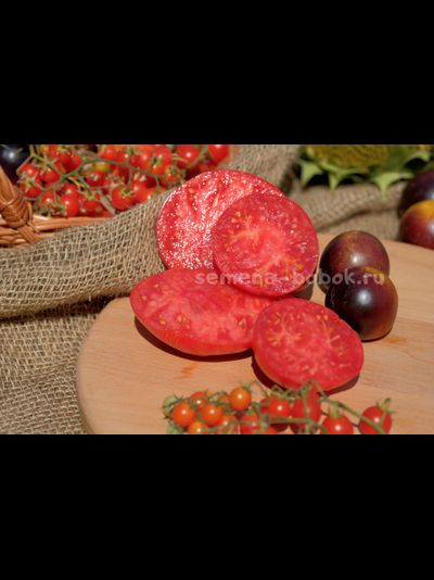 Томат Dwarf Firebird Sweet (Гном Жар-птица сладкая), 10 шт