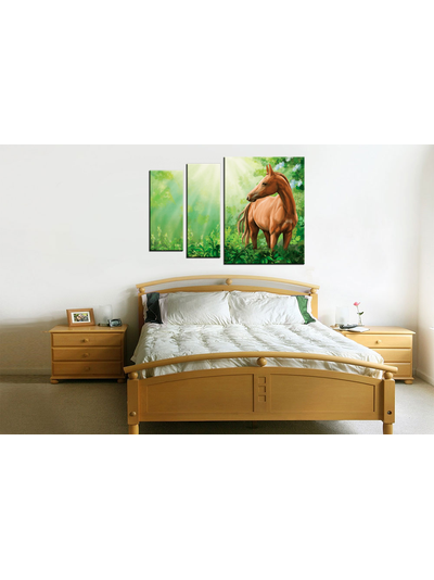 Модульная картина "Дикая лошадь"