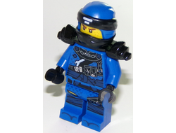 Jay with Armor - Hunted, n/a (njo459)