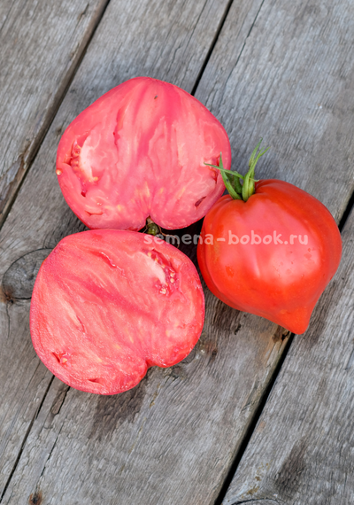 Томат Большая Красная Долли ( Big Dolly Red)