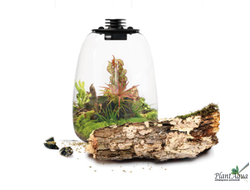 Биобутылка Biolark LED QD205 (217мм х 260мм)