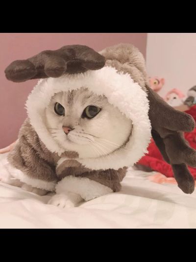 Плюшевый костюм Оленя для собак и кошек