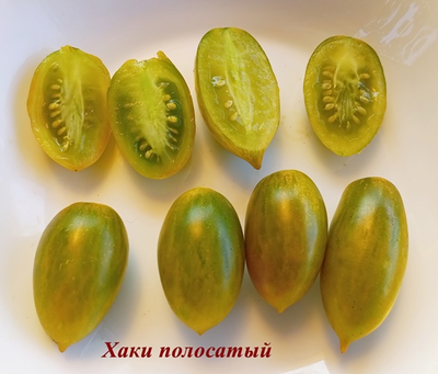 Томат Хаки полосатый