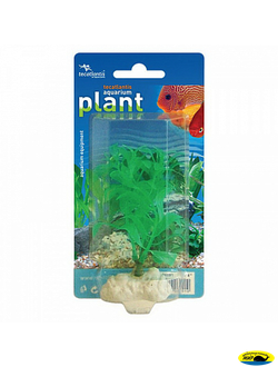 06092 Растение пласт. Tecatlantis 20см Бакопа с грузиком