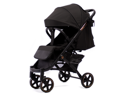 Коляска Прогулочная Peppy Polo 2.0 Rose Black хром рама