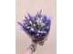 Букет из сухоцветов Фиолет