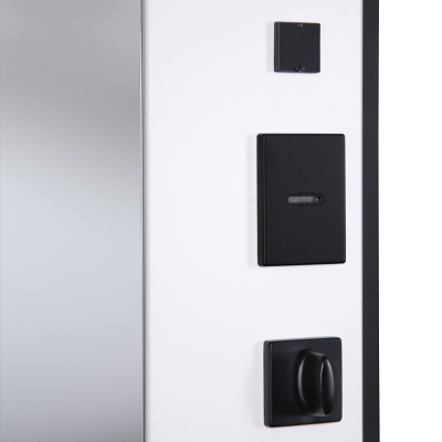 Стальная дверь   Берилл с зеркалом (биометрический замок DZ 888). Заказная модель.