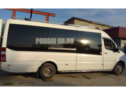 Защита крыла d53 для Mercedes-Benz Sprinter (2012-2017)