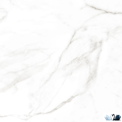 Керамогранит Italica Calacatta Faro Grey 60х60 см белый полированный