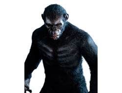 ПРЕДЗАКАЗ - Шимпанзе Коба в боевой раскраске  (серия "Планета Обезьян") - Коллекционная ФИГУРКА 1/6 Ape Leader DX ver (DYM202404B) - Hell Cat ?ЦЕНА: 23600 РУБ.?