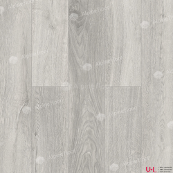 ABA ламинат Alpine Floor Premium XL Дуб Платина ECO 7-14 купить на vinyl-laminat.ru