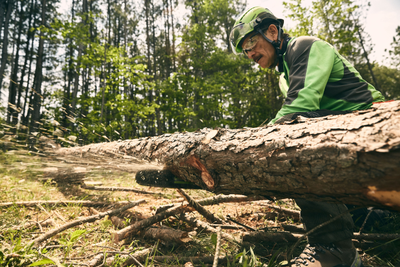 распиловка Greenworks GD82CS51K5