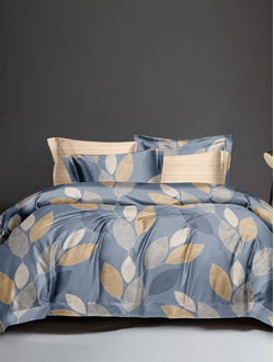 Постельное белье евро TANGO Dream Fly микросатин 200x220x1 220x245x1 50x70x2 DF03-524