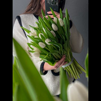 Охапка тюльпанов 25шт  «MONO»