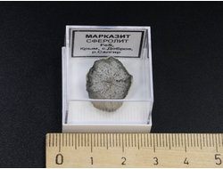 Марказит (Сферолит), в пластиковом боксе, Крым, с. Доброе №24180