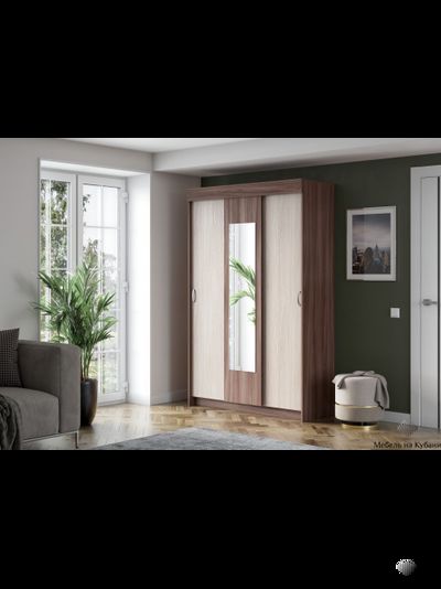 Бася шкаф-купе Ясень шимо темный/Ясень шимо светлый