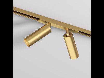 Светильник для трека SHINE SPOT DK5742-SB