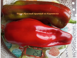 Перец сладкий Красный крупный из Карпинска (назв. условное)