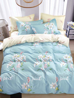 Постельное белье TANGO Twill комплект сатин евро 200x220x1 230x250x1 50x70x2 TPIG3-1296