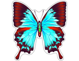 Мини-плакат вырубной Бабочка Парусник ФМ-8836 (Сфера)