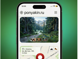 Создать сайт. Сборка и размещение в картах