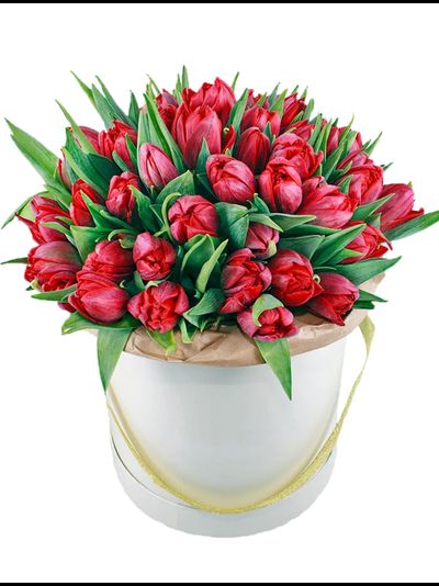 25 тюльпанов в шляпной коробке