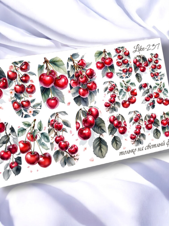 Слайдер-дизайн для ногтей LIKE-237