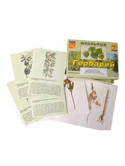Гербарий "Систематика растений. Семейство Бобовые. Злаки" (раздаточный)