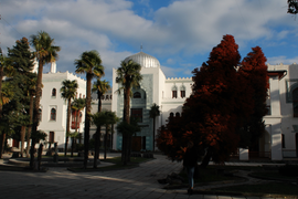 Дворец «Дюльбер»