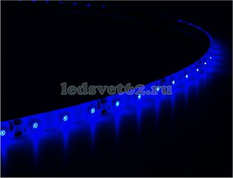 Светодиодная лента 12v-60led-4.8w-IP65 blue SMD3528, LedsPower