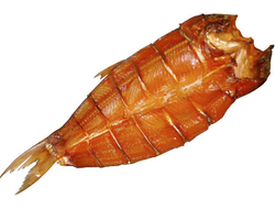 Толстолобик х/к "бабочка"