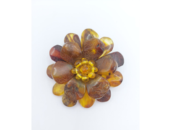 Брошь из натурального янтаря 03081
