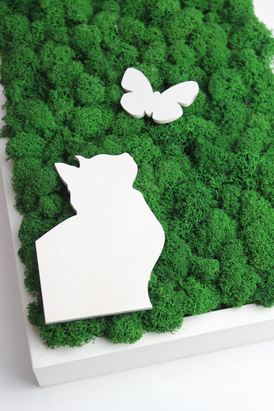 ЖИВАЯ ЭКО-КАРТИНА 1031