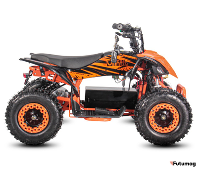 Электроквадроцикл WHITE SIBERIA SNEG LETO R 1000W Оранжевый