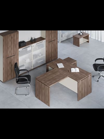 Кабинет руководителя Нью Лайн (New Line)