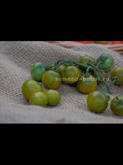 Томат Sweet Baby Jade (Свит Бэби Джейд), 10 шт