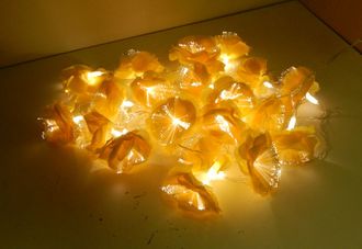 Гирлянда LED Цветы желтые, белый свет, 5,5 м (гарантия 14 дней)