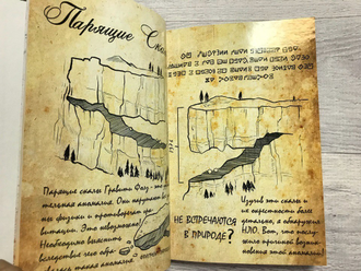 Дневник Стэна, Гравити Фолз №1