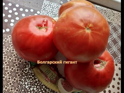 Томат Болгарский гигант (Bulgarian giant)