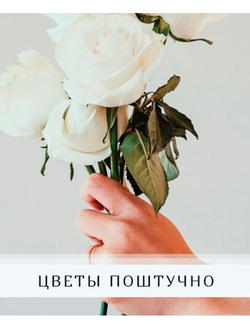 ЦВЕТЫ ПОШТУЧНО