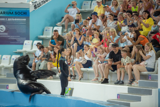 Дельфинарий в парке Ривьера