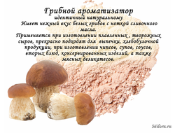 Грибной ароматизатор
