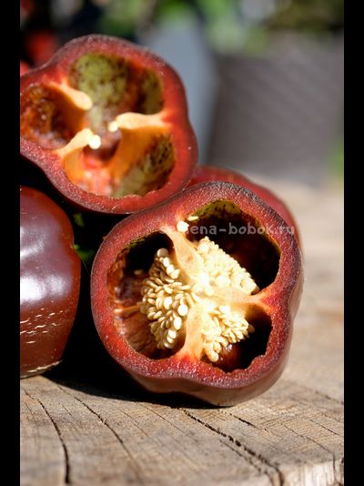 Перец сладкий Ингрид, 10 шт