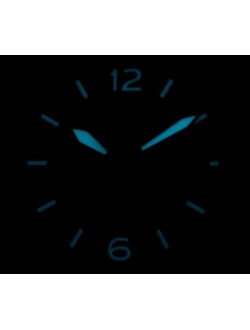 Наручные часы Citizen BJ7007-02L