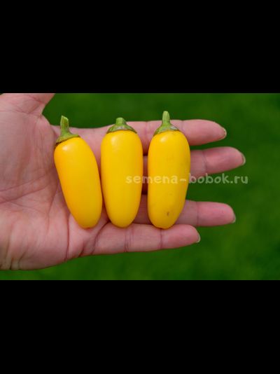 Перец острый Jalapeno NuMex Lemon Spice (Халапеньо Ньюмекс Лимон Спайс), 10 шт