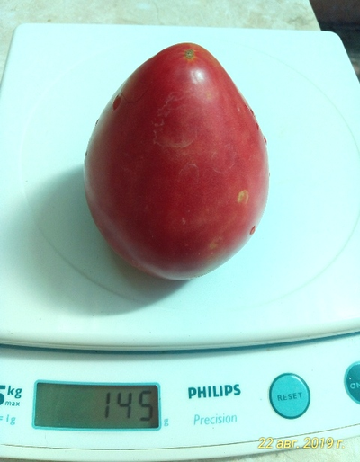 Томат Люсиль Тилсон (Lucille Tillson) США