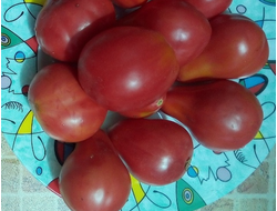 Томат Трюфель густо-малиновый