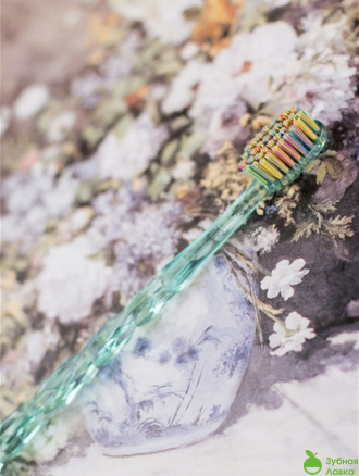 ЗУБНЫЕ КИСТИ MONTCAROTTE PIERRE-AUGUSTE RENOIR TOOTHBRUSH