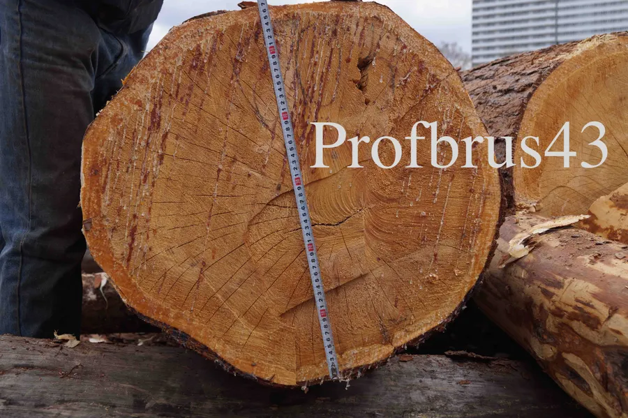 Диаметр бревна 560 мм