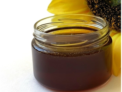 Дягилевый светлый алтайский мед | ферма СытникЪ